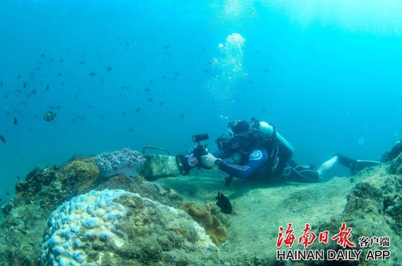 吸引百万网民在线观看！第十四届“泰州网民春晚”精彩上演